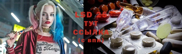 шишки Михайловск