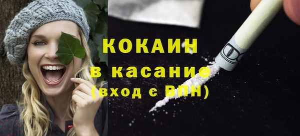 шишки Михайловск