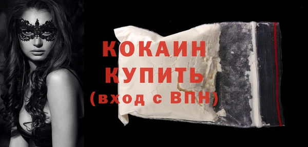 шишки Михайловск