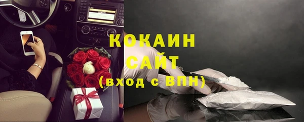 шишки Михайловск