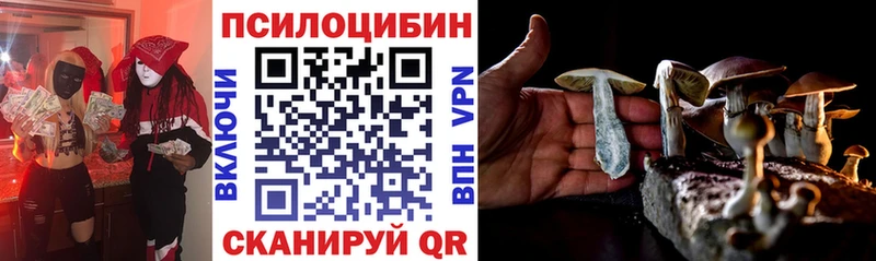 Псилоцибиновые грибы Psilocybe Шиханы